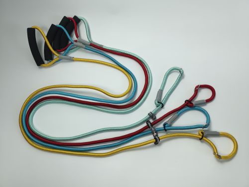 Explosion-Proof Nylon Braided training Dog P- Leash