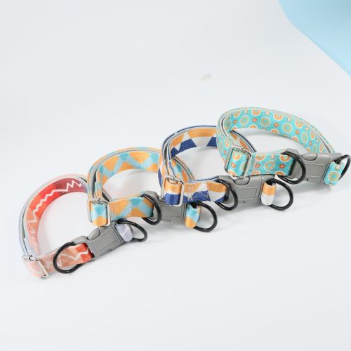 Colorful High Elasticity Traction Rope Explosion-proofDog Leash And Collar - Image 5