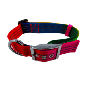 Neon color adjustable Reflective Dog Collar for training and Everyday Use