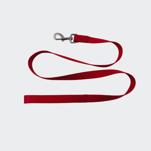 Basic Solids color Nylon Dog Leash Strong Durable Traditional Style with Easy to Use Collar Hook - Image 2