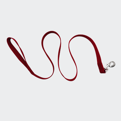 Basic Solids color Nylon Dog Leash Strong Durable Traditional Style with Easy to Use Collar Hook - Image 3