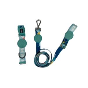 Personalized luxury fashion Dog collar and leash set with rubber logo adjustable handle