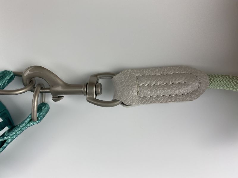 The leather accessories of leash