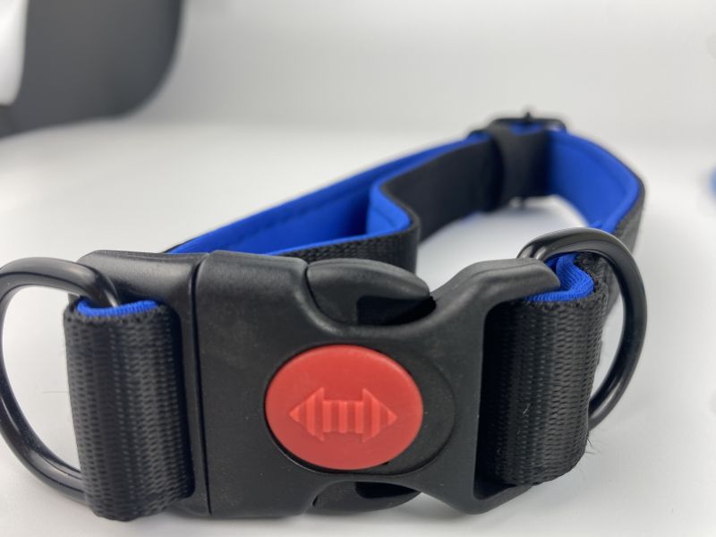 collar buckle with self-lock