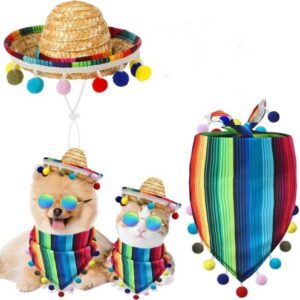 Mexican Style Rainbow Pet Straw Hat and Bandana Set