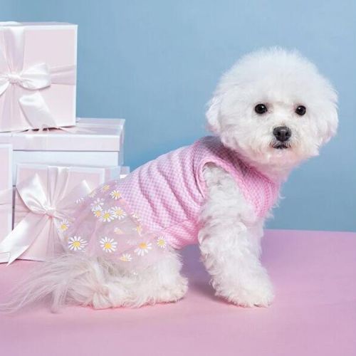 Customized Comfortable Cats and Dogs summer cooling dress with Flower Gauze - Image 8