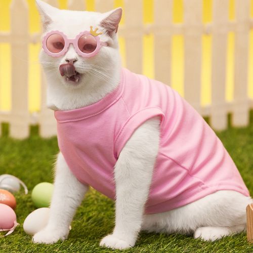 OEM manufacturer Pet Clothes Personalized Printed shirts for cats and Dogs - Image 3