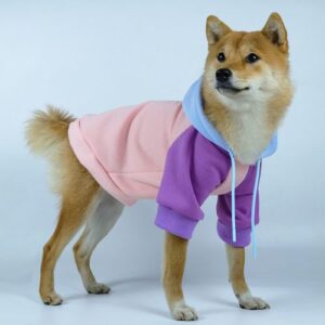 OEM ODM wholesale Candy Color matching New Designer Dog Hoodie Custom sweatshirt